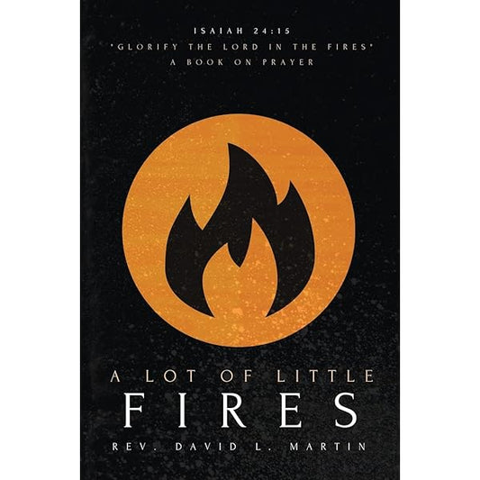 A Lot Of Little Fires Vol 1 - David Martin