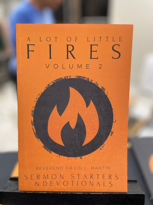 A Lot of Little Fires Vol 2 - David Martin